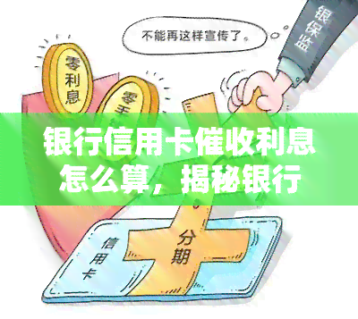 银行信用卡利息怎么算，揭秘银行信用卡利息计算方法