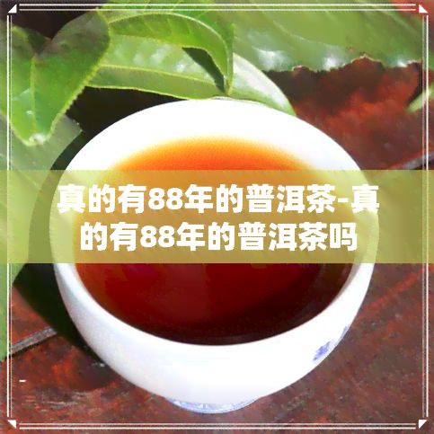 真的有88年的普洱茶-真的有88年的普洱茶吗