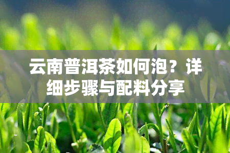 云南普洱茶如何泡？详细步骤与配料分享