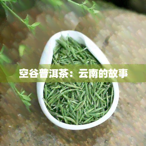 空谷普洱茶：云南的故事