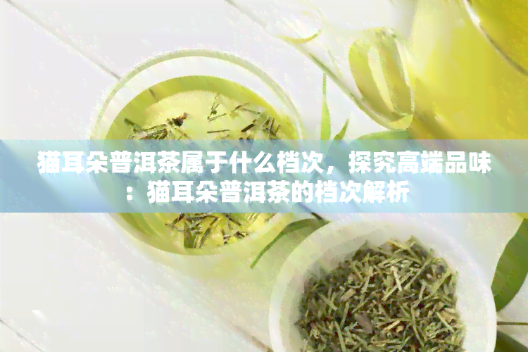 猫耳朵普洱茶属于什么档次，探究高端品味：猫耳朵普洱茶的档次解析