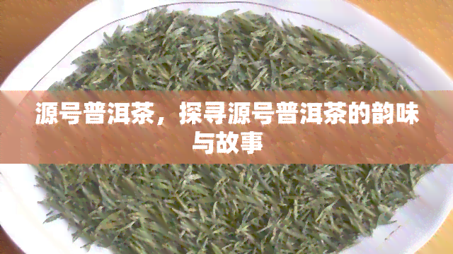 源号普洱茶，探寻源号普洱茶的韵味与故事