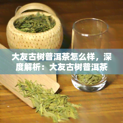 大友古树普洱茶怎么样，深度解析：大友古树普洱茶的品质与口感