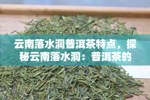 云南落水洞普洱茶特点，探秘云南落水洞：普洱茶的独特特点与魅力