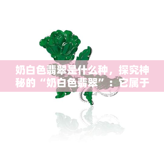 奶白色翡翠是什么种，探究神秘的“奶白色翡翠”：它属于哪种翡翠品种？