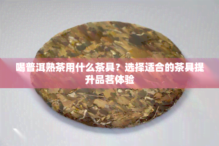 喝普洱熟茶用什么茶具？选择适合的茶具提升品茗体验