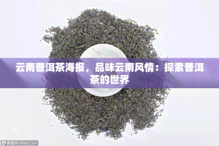 云南普洱茶海报，品味云南风情：探索普洱茶的世界