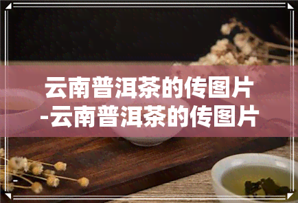 云南普洱茶的传图片-云南普洱茶的传图片和文案