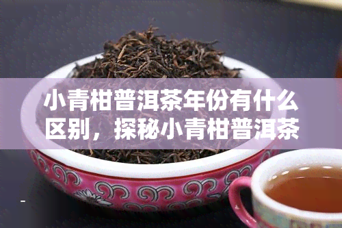 小青柑普洱茶年份有什么区别，探秘小青柑普洱茶的年份差异：口感、香气和价值解析