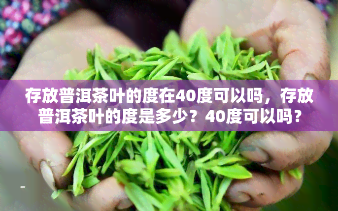 存放普洱茶叶的度在40度可以吗，存放普洱茶叶的度是多少？40度可以吗？