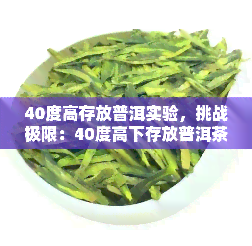 40度高存放普洱实验，挑战极限：40度高下存放普洱茶的实验探究