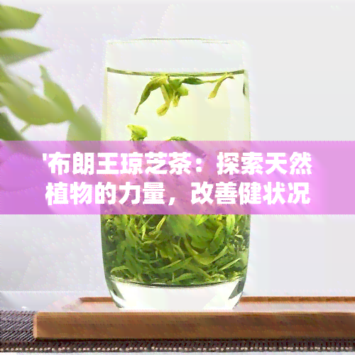 '布朗王琼芝茶：探索天然植物的力量，改善健状况，提高生活质量。'