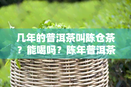 几年的普洱茶叫陈仓茶？能喝吗？陈年普洱茶好还是有保质期？