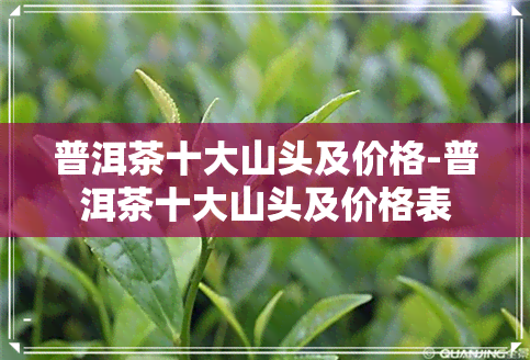 普洱茶十大山头及价格-普洱茶十大山头及价格表