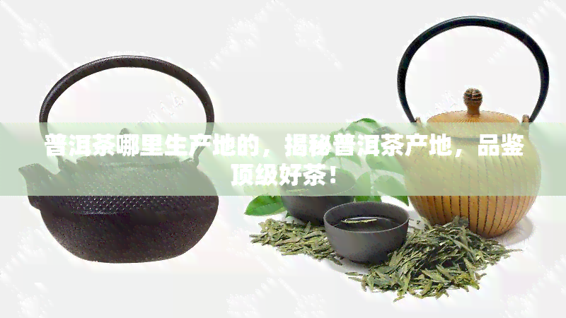 普洱茶哪里生产地的，揭秘普洱茶产地，品鉴顶级好茶！