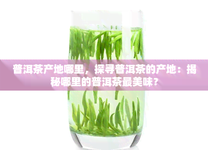 普洱茶产地哪里，探寻普洱茶的产地：揭秘哪里的普洱茶最美味？