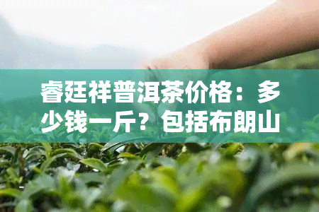 睿廷祥普洱茶价格：多少钱一斤？包括布朗山普洱茶价格