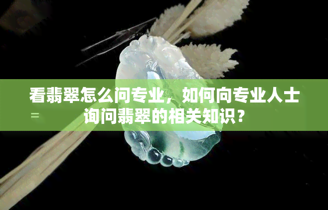 看翡翠怎么问专业，如何向专业人士询问翡翠的相关知识？