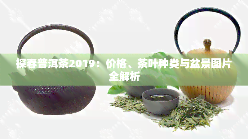 探春普洱茶2019：价格、茶叶种类与盆景图片全解析