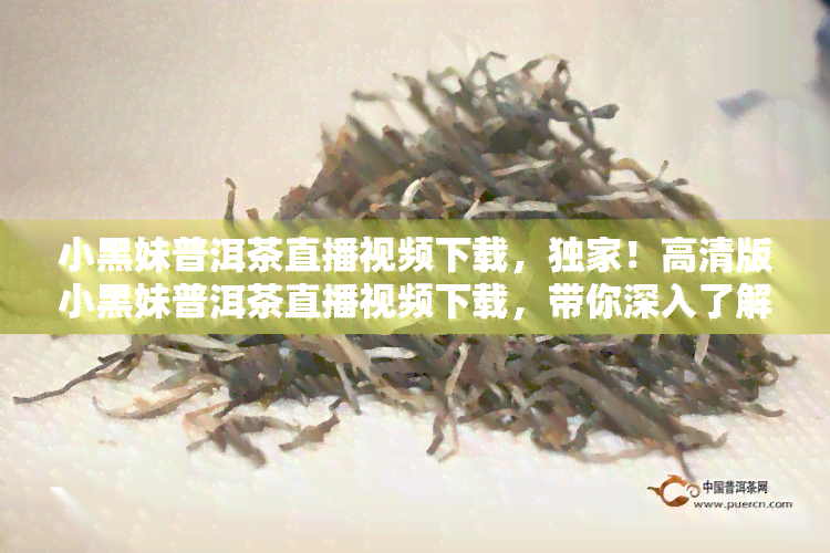 小黑妹普洱茶直播视频下载，独家！高清版小黑妹普洱茶直播视频下载，带你深入了解普洱茶的魅力