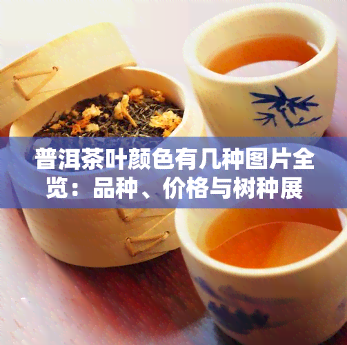 普洱茶叶颜色有几种图片全览：品种、价格与树种展示