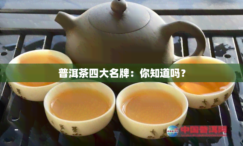 普洱茶四大名牌：你知道吗？