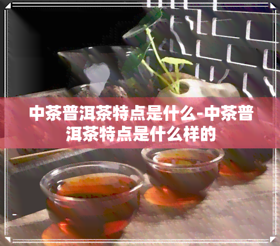 中茶普洱茶特点是什么-中茶普洱茶特点是什么样的