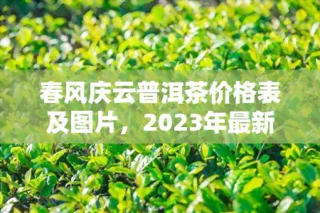 春风庆云普洱茶价格表及图片，2023年最新春风庆云普洱茶价格表及高清图片一览