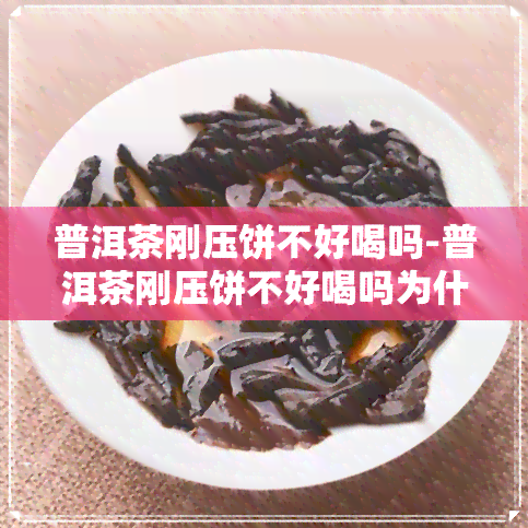 普洱茶刚压饼不好喝吗-普洱茶刚压饼不好喝吗为什么