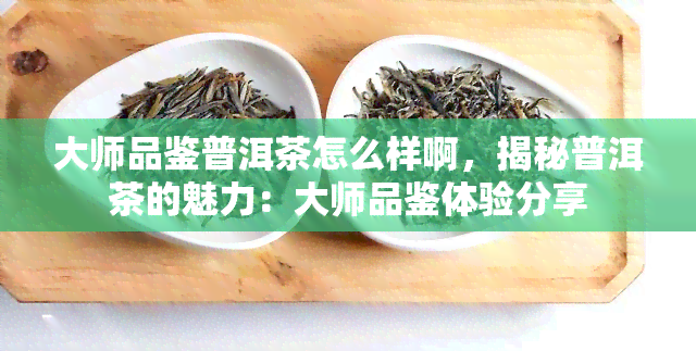 大师品鉴普洱茶怎么样啊，揭秘普洱茶的魅力：大师品鉴体验分享