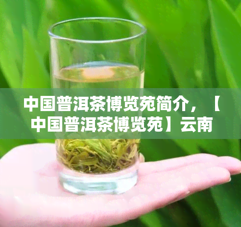 中国普洱茶博览苑简介，【中国普洱茶博览苑】云南西双版纳州特色旅游景点介绍