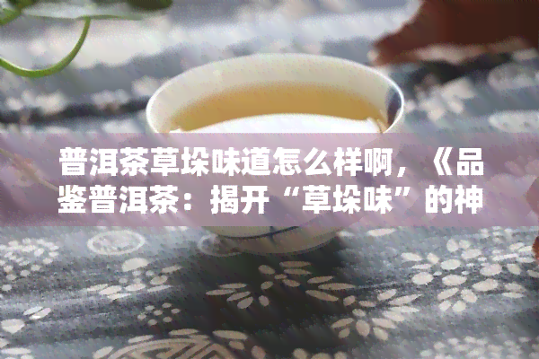 普洱茶草垛味道怎么样啊，《品鉴普洱茶：揭开“草垛味”的神秘面纱》