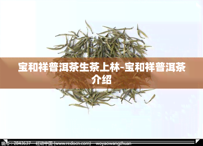 宝和祥普洱茶生茶上林-宝和祥普洱茶介绍