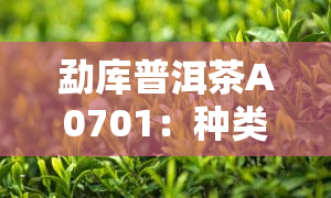 勐库普洱茶A0701：种类、排名、价格全解析