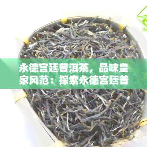 永德宫廷普洱茶，品味皇家风范：探索永德宫廷普洱茶的独特魅力