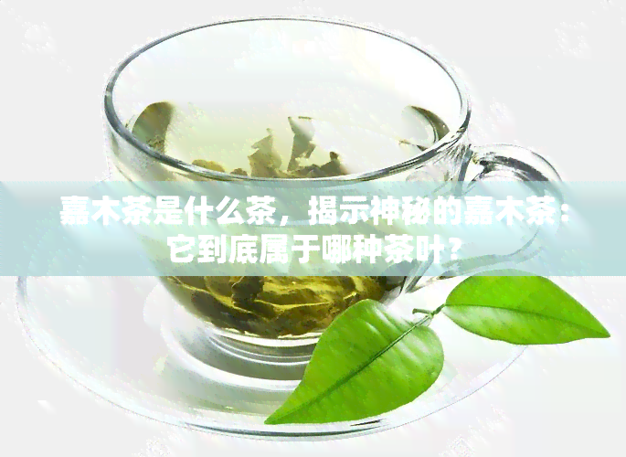 嘉木茶是什么茶，揭示神秘的嘉木茶：它到底属于哪种茶叶？