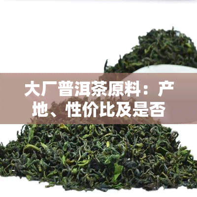 大厂普洱茶原料：产地、性价比及是否为台地茶全解析