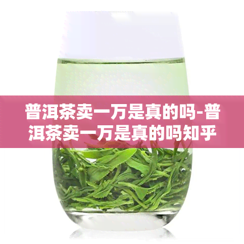 普洱茶卖一万是真的吗-普洱茶卖一万是真的吗知乎