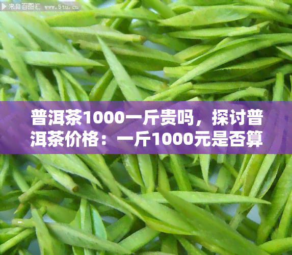 普洱茶1000一斤贵吗，探讨普洱茶价格：一斤1000元是否算贵？