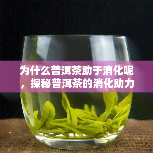 为什么普洱茶助于消化呢，探秘普洱茶的消化助力之谜