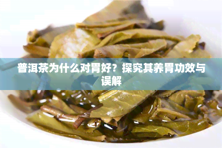 普洱茶为什么对胃好？探究其养胃功效与误解