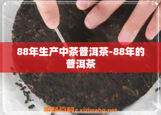 88年生产中茶普洱茶-88年的普洱茶