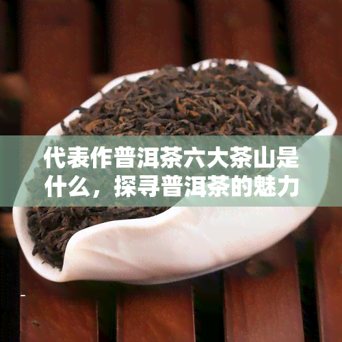 代表作普洱茶六大茶山是什么，探寻普洱茶的魅力：六大茶山的代表作品介绍