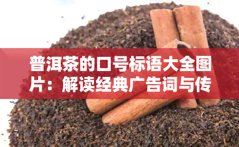 普洱茶的口号标语大全图片：解读经典广告词与传标语