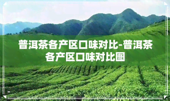 普洱茶各产区口味对比-普洱茶各产区口味对比图