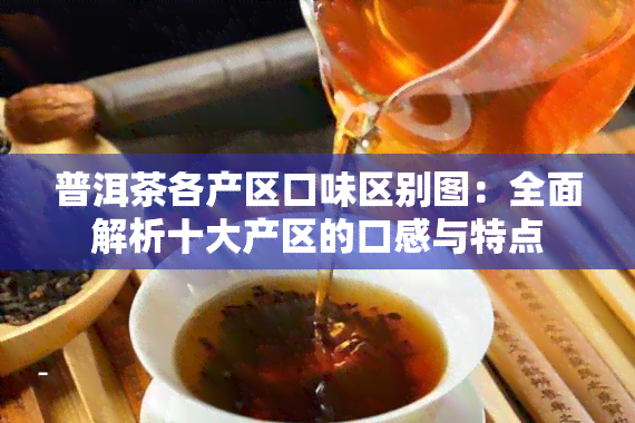 普洱茶各产区口味区别图：全面解析十大产区的口感与特点