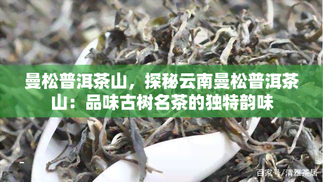 曼松普洱茶山，探秘云南曼松普洱茶山：品味古树名茶的独特韵味