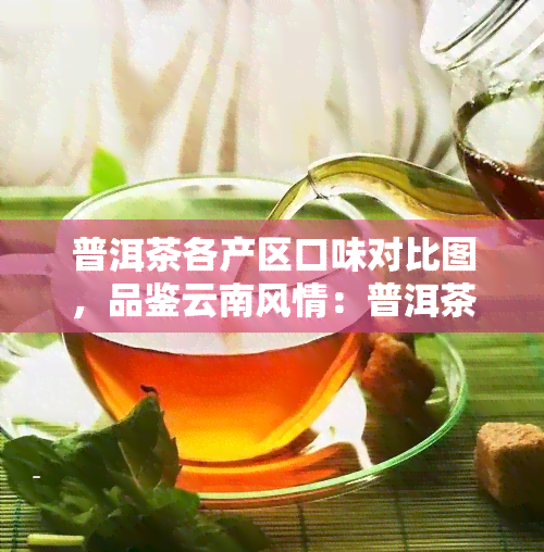 普洱茶各产区口味对比图，品鉴云南风情：普洱茶各产区口味对比图