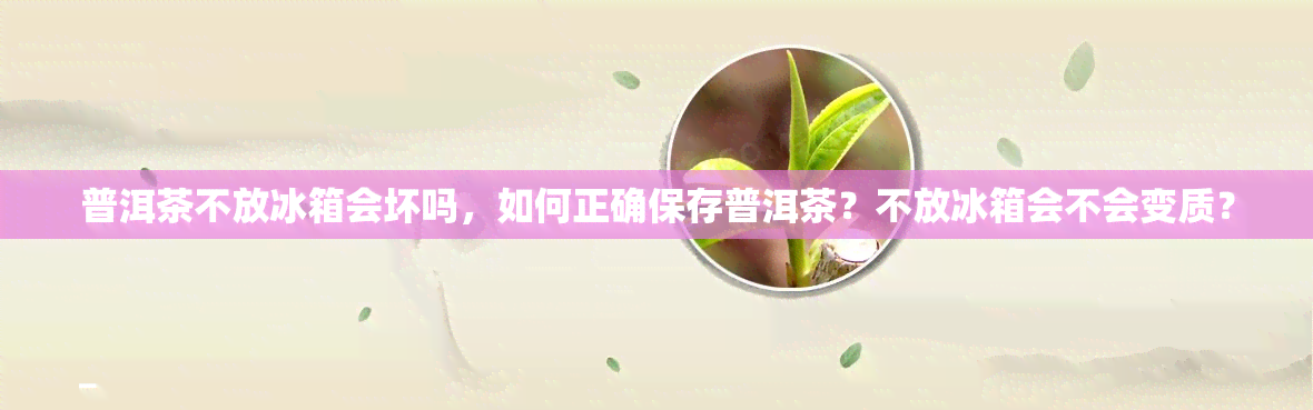 普洱茶不放冰箱会坏吗，如何正确保存普洱茶？不放冰箱会不会变质？