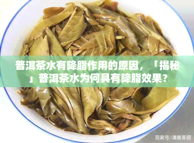 普洱茶水有降脂作用的原因，「揭秘」普洱茶水为何具有降脂效果？